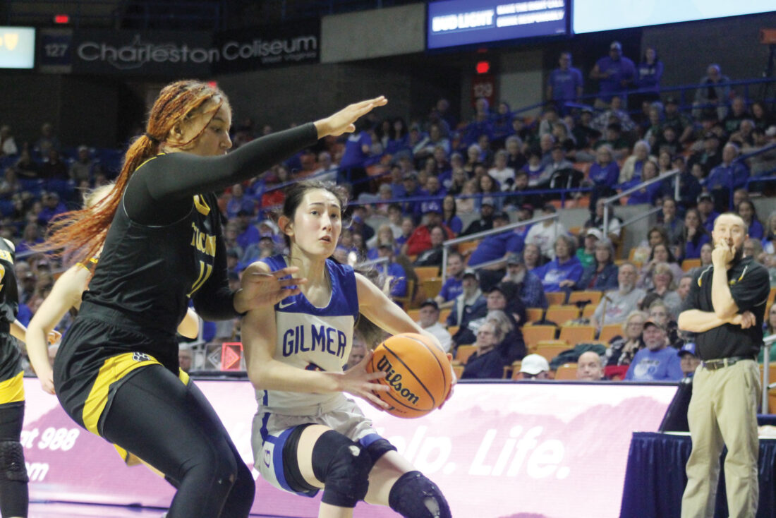 Lena Frymier sparks Gilmer comeback over Tucker in state semis News